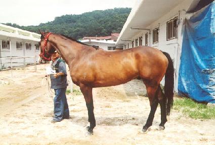 ��Ÿ��Ÿ ����