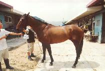 �ͺ� (TORBEN) ����