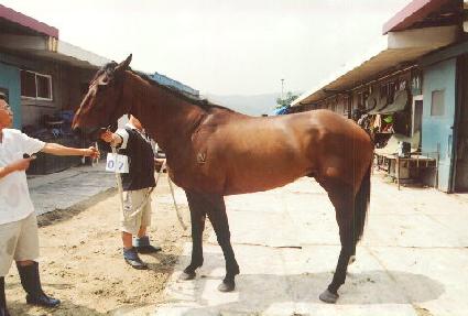 �ͺ� ����