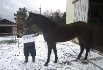 �ʽ°��� (PILSEUNG GANGJA) ����