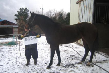 �ʽ°��� ����