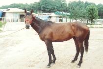 ���渶�� (KUKGIL MAEUL) ����