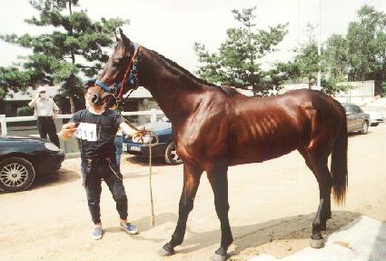 �����屺 ����