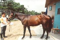 �ʹ�����Ʈ (TURNING POINT) ����