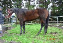 ��ȭ�� (MANHWADANG) ����