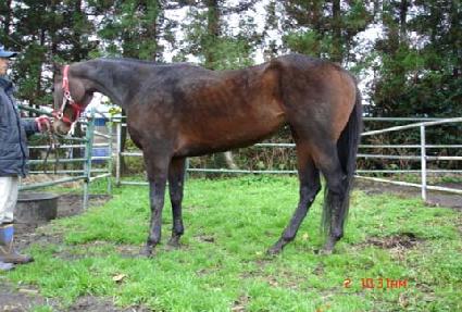 ��ȭ�� ����