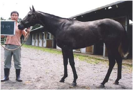 Ʈ���ù��� ����