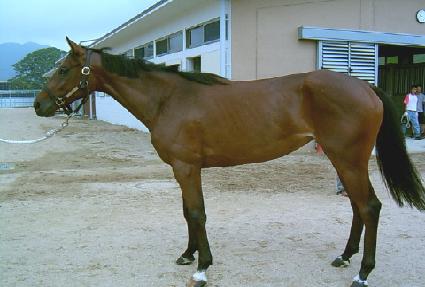 �ٶ������� ����