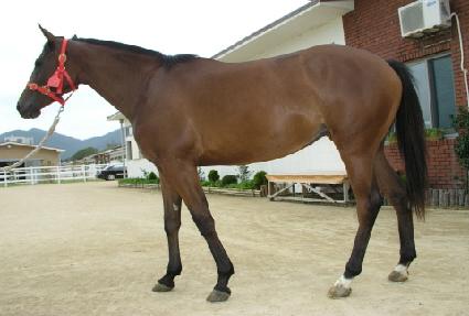 ����Ʈ�̾� ����