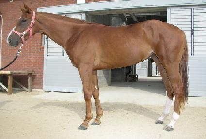 �������� ����