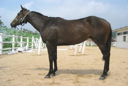 ������ ����