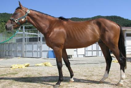 ���ӵ��� ����