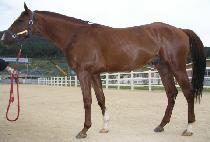 Ʈ���� (TRAIN) ����