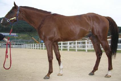 Ʈ���� ����