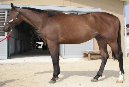 ������� ����