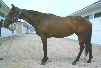 �ݰ���ҽ� ����