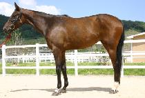 ���ŷ� (GANGSINRON) ����