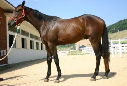 ���׺�Ƽ ����