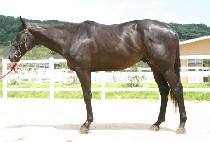 �������� (JIGUJIGYE) ����