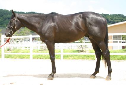 �������� ����