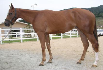 ȯ���ǹ��� ����