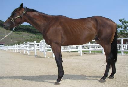 ��������Ʈ ����