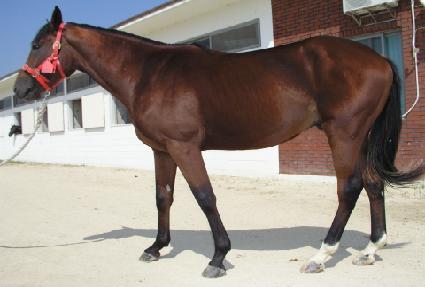 ĵƮ��ġ�� ����