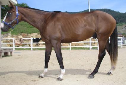 ū���ڸ� ����