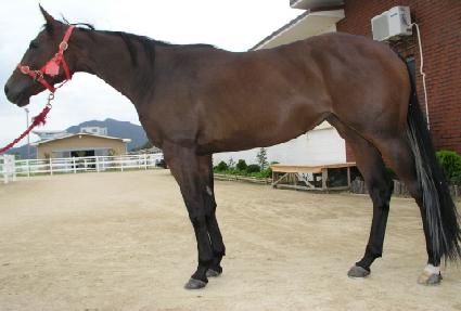 ���������̸� ����