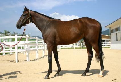 ������� ����