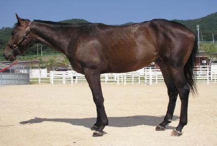 ���� ����