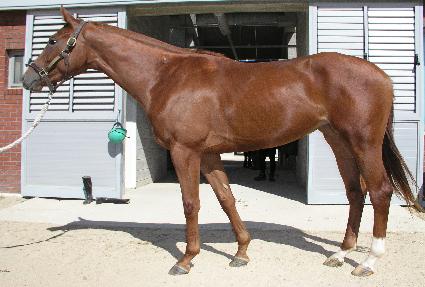 ��Ÿ���ε�� ����