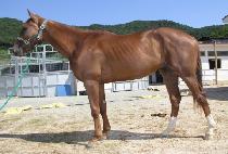 ��Ÿ�� (LAP TIME) ����