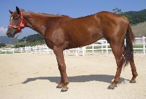 �¸���� (SEUNGNI GIWON) ����