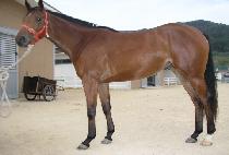 ��Ʋ�����Ͻ�ī�� (PARTLY SUNNY SKIES) ����