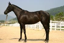 ���̹���귯�� (JAMIE��S BRUSH) ����