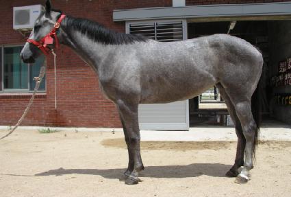 ü�̴� ����