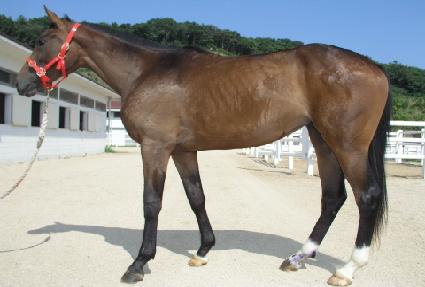 ��ȭ�� ����