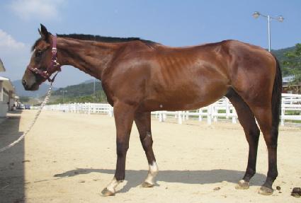 ť����۷� ����