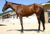 �𿥸�ġ (D M MERCH) ����