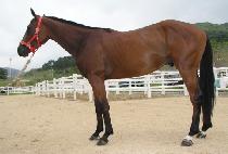 ����Ʋ (HEAVY METAL) ����