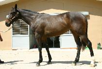 ������ (DANGWISEONG) ����