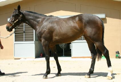 ������ ����