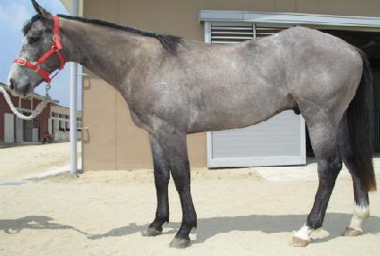 ÷�ܵ��� ����