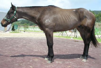 ��ġ ����