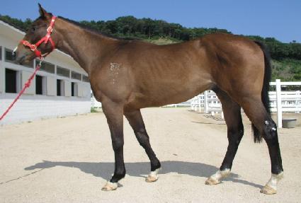 �Ż�ǳ ����