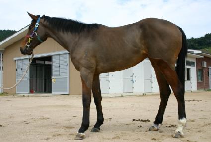 �߼��� ����