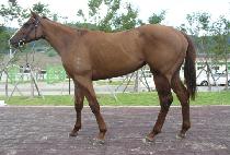 �ټֻ� (DASOLSA) ����