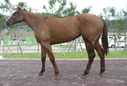 �ټֻ� ����