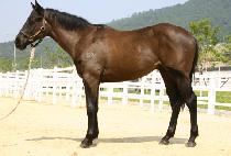 ��ƼǮ���丮 (BEAUTIFUL STORY) ����